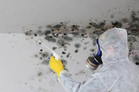 Best Environmental Consulting for Mold Prevention  in San Dimas, CA